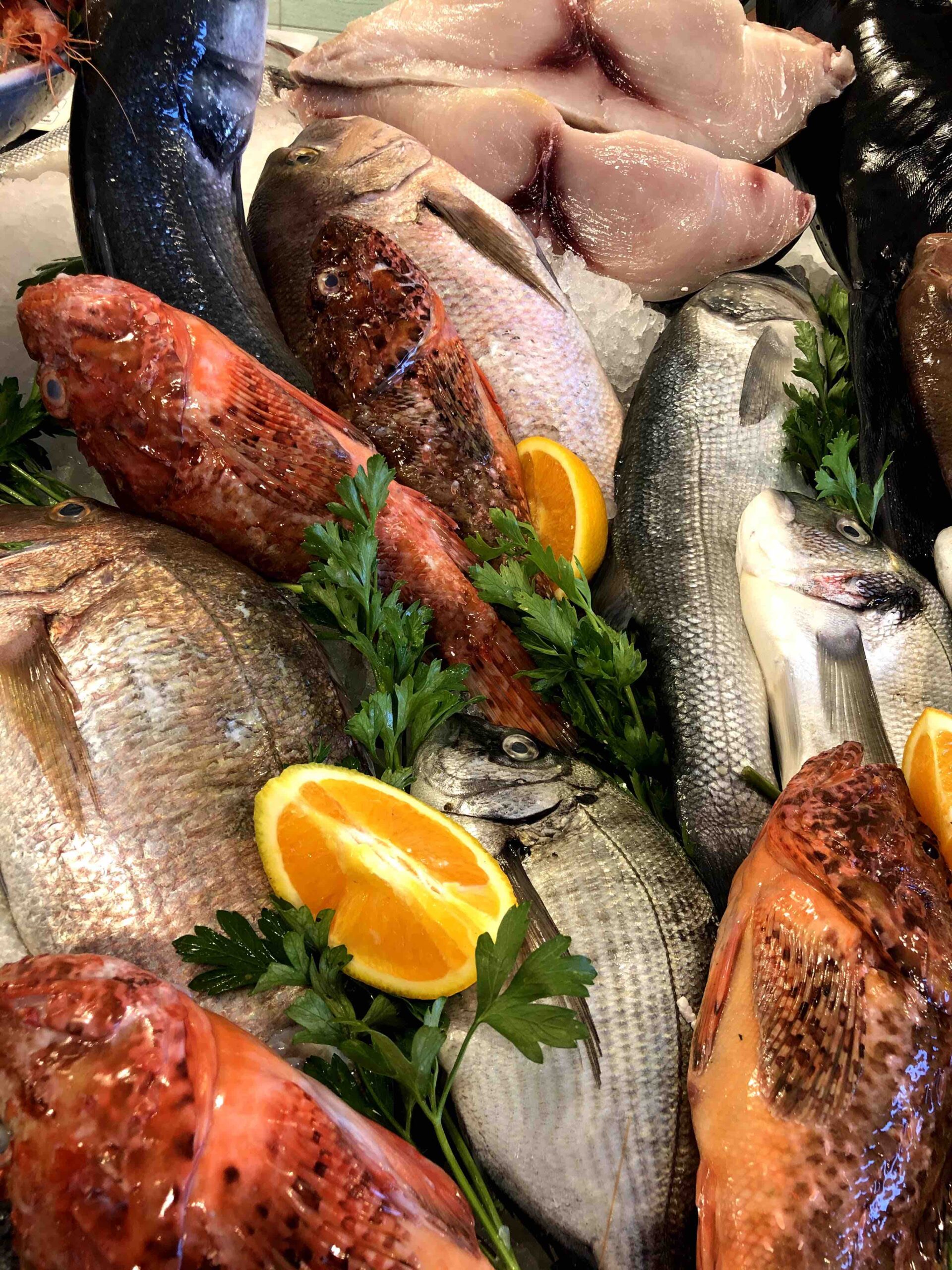 pesce-pescheria-maggio acquisto pesce fresco a Torre San Giovanni